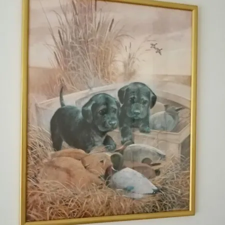 Privatunterkunft Sejour Entre Nature Verdoyante Et Son Dolment *