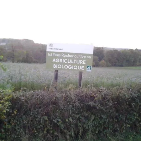 Sejour Entre Nature Verdoyante Et Son Dolment Cournon