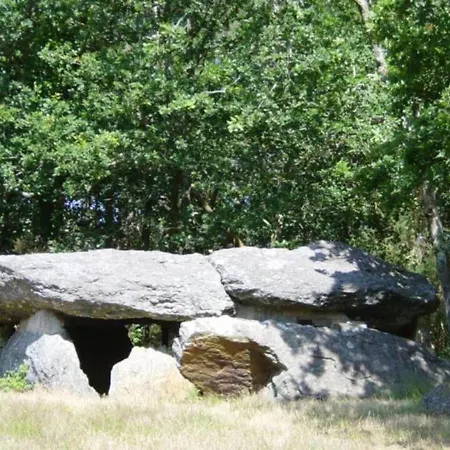 Sejour Entre Nature Verdoyante Et Son Dolment Homestay *